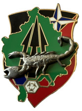 INSIGNE MILITAIRE OPEX KFOR ? SCORPION? A IDENTIFIER DELSART DOS LISSE 1 EPINGLE
