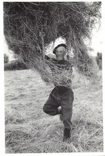 CPSM GF 29 - TRONOEN (Finistère) - 12. Fenaison en Pays Bigouden - 1978