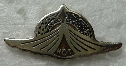 Pin militaire brevet - pin's,