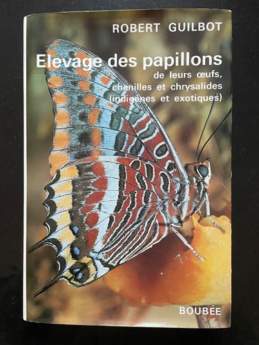 élevage des papillons - papillons, de