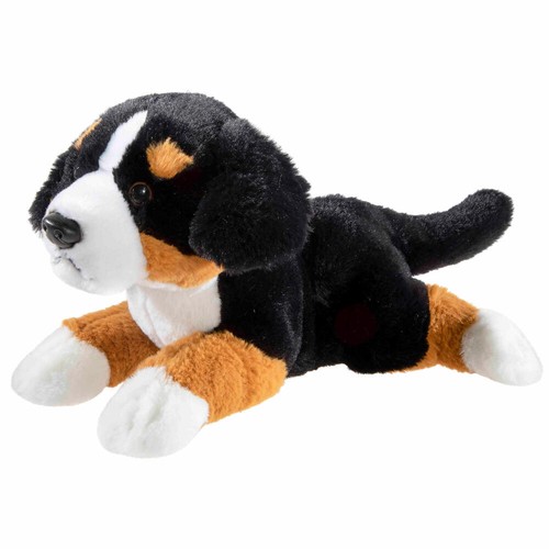 Heunec puppy chien montagne - de,