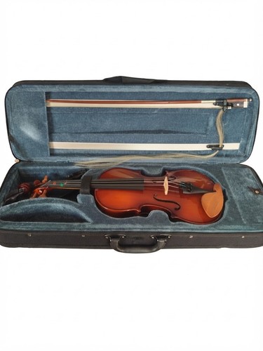 Violon bois ancien - 1/2, &
