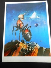 SIUDMAK WOJTEK (né Pologne