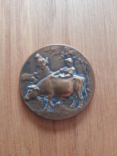 Medaille bronze societe - medaille,