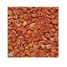 Gammarus, Aliment Naturel pour Aquariophilie 100 g Pour tortues d'eau