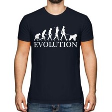 Bouvier des flandres evolution - bouvier,