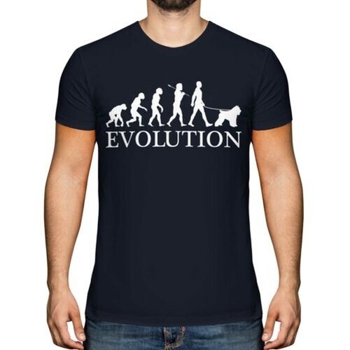 Bouvier des flandres evolution - des,