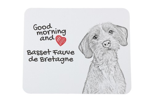 Basset fauve bretagne - basset,