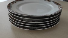 Porcelaine de Limoges RAYNAUD