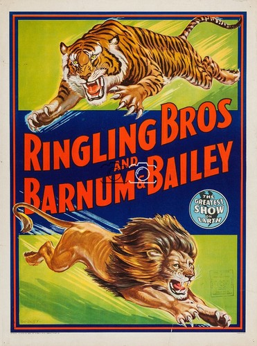 Cirque ringling bros - ringling,