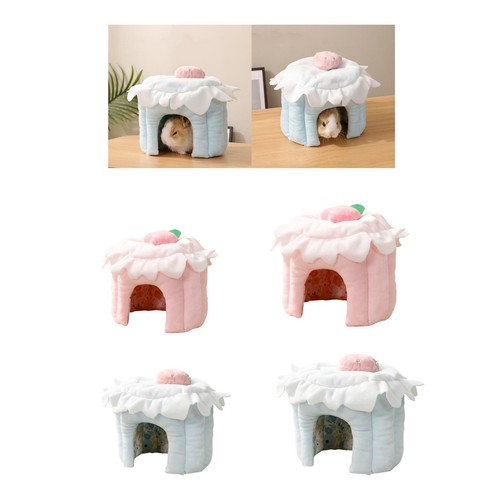 Cachette cochon inde - cachette, de