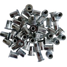 SACHET DE 50 INSERTS FILETES ACIER GALVANISE DE M6