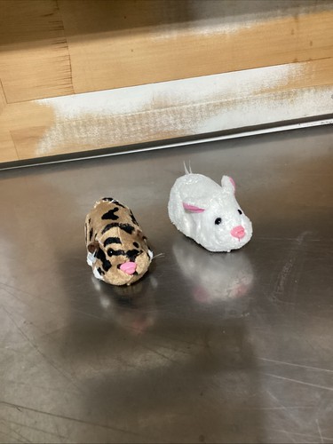 Zhu pets - pets, 2