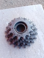 Regina Extra BX roue libre 6