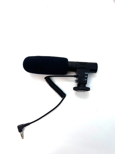 Video microphone stereo - video,