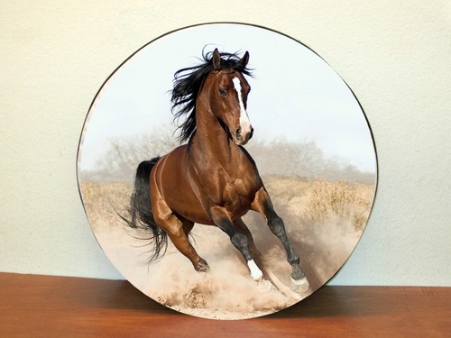Cache roue secours cheval - cache, de