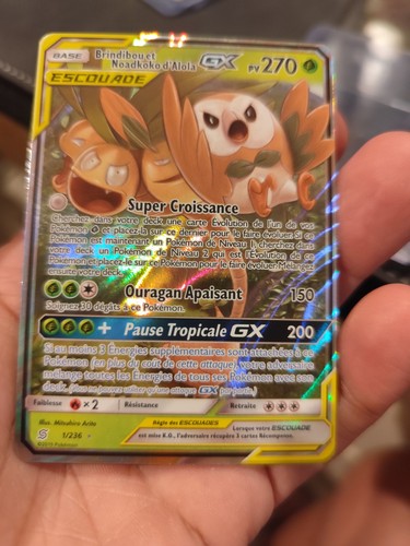 Carte pokémon brindibou - carte,