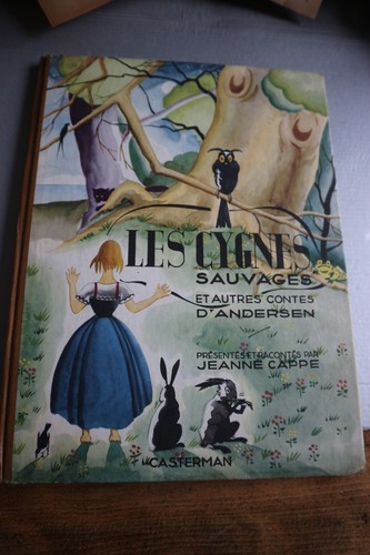 Livre enfant les cygnes - livre,