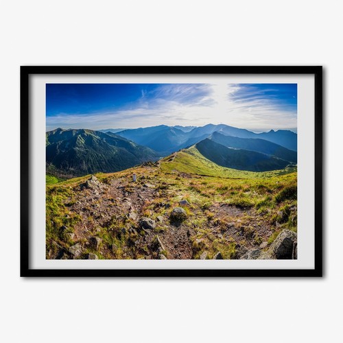 Tulup photo 70x50cm - photo,