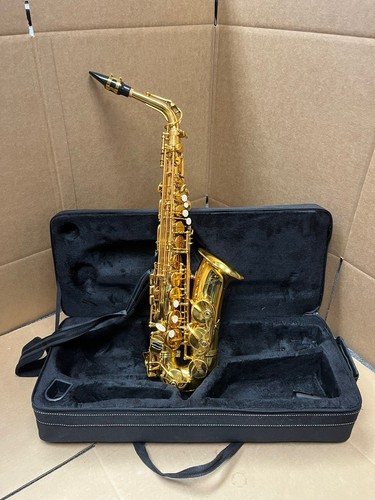 Alto saxophone - saxophone, (with