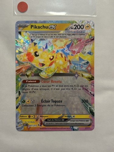 Carte pokémon héros - carte,