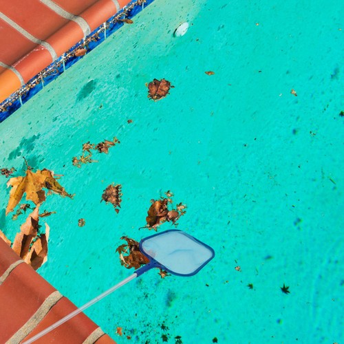 Filet pour piscine - pour, de