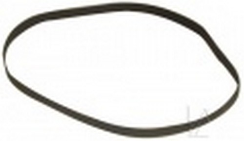 Courroie pour platine - (205mm),