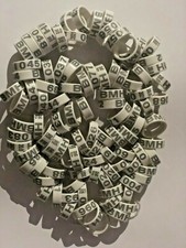 Bagues en plastique 2021 pour poules et coques 16mm/18mm20mm couleur officiel 