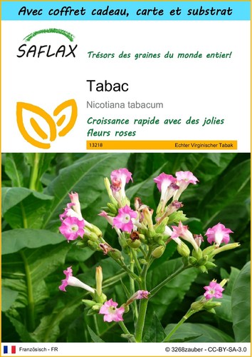 Saflax kit cadeau - kit, tabac