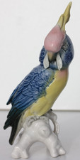 Karl ens oiseau - karl,