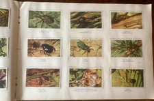 Album chromos Veen Freres