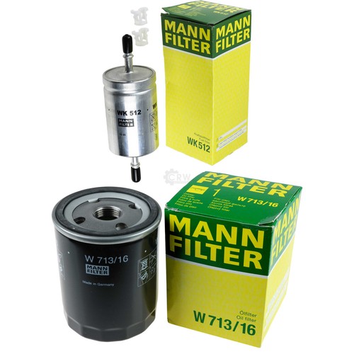 Mann filter ensemble - mann-filter,