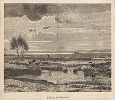 ÉTANG DE PARENTIS  (40) BERGER SUR ÉCHASSES / GRAVURE ENGRAVING