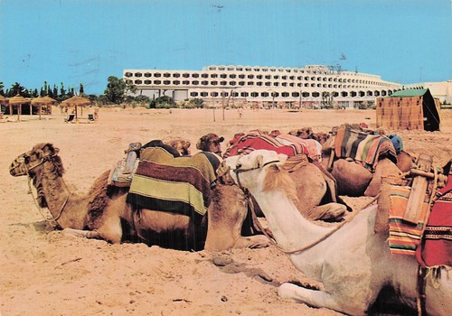 Tunisie hammamet hotel - hammamet,