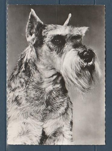 Cpsm vers 1960 - vers,