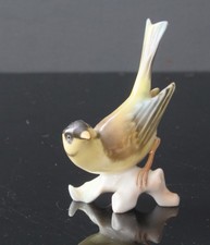 joli Petit oiseau en