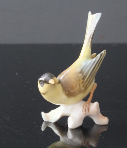Joli petit oiseau - petit,