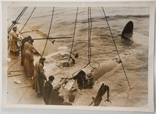 PHOTO de presse militaire avion  SOVIETIQUE EN MER 1940 13X18cm