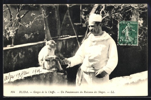 Cpa blida gorges - blida,,