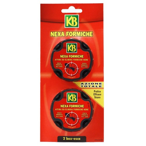 Nexa fourmis 2 boîtes - nexa,