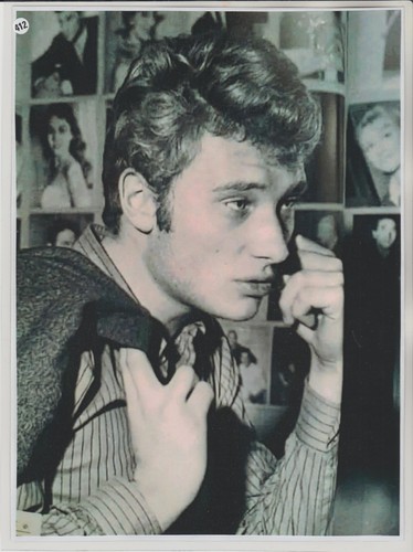 Johnny hallyday n 412 - hallyday, n°