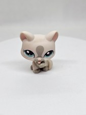 Chartreux Cat #1472 Littlest