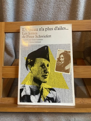 Oiseau plus d ailes - plus, d'ailes