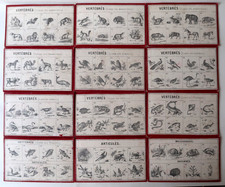 Revenaz & Tabernat Jeu Ancien