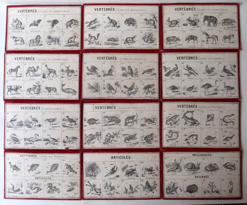 Jeu ancien loto - zoologique, 12
