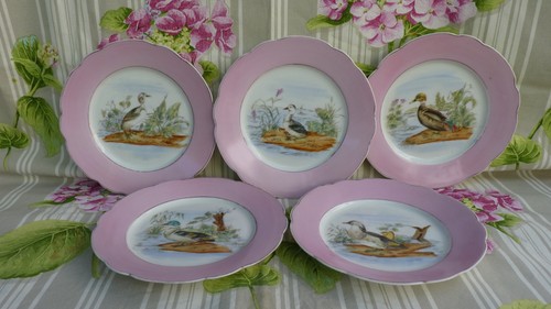 Assiettes porcelaine de - 5,