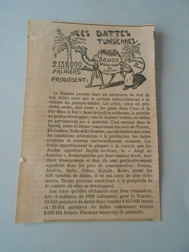 168 000 palmiers produisent - 2.168.000,