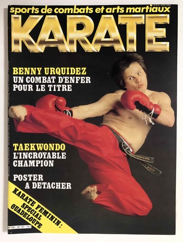 Karate bushido 101 - bushido,