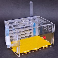 Nid de fourmis à construire