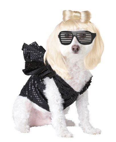 Pop sensation lady gaga rock - gaga,